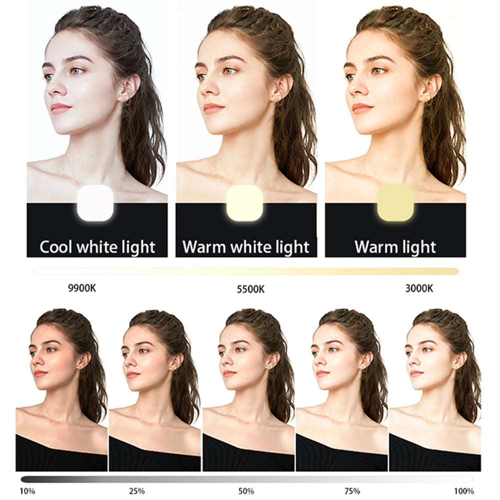 Clearance_Smartphone Selfie Light Selfie Video Conference Light Portable LED Light Compatible For Cell Phone IPad Laptop Camera_